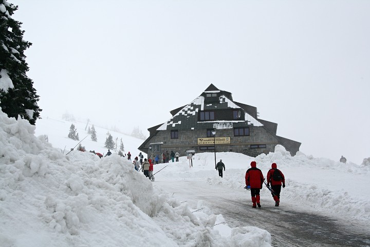 img00006.jpg