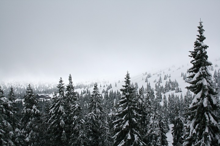 img00007.jpg