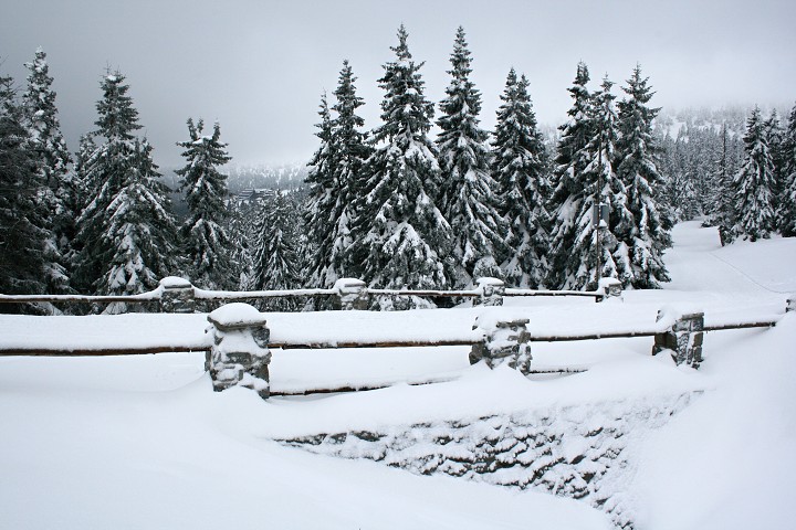 img00009.jpg