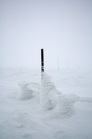 img00011.jpg