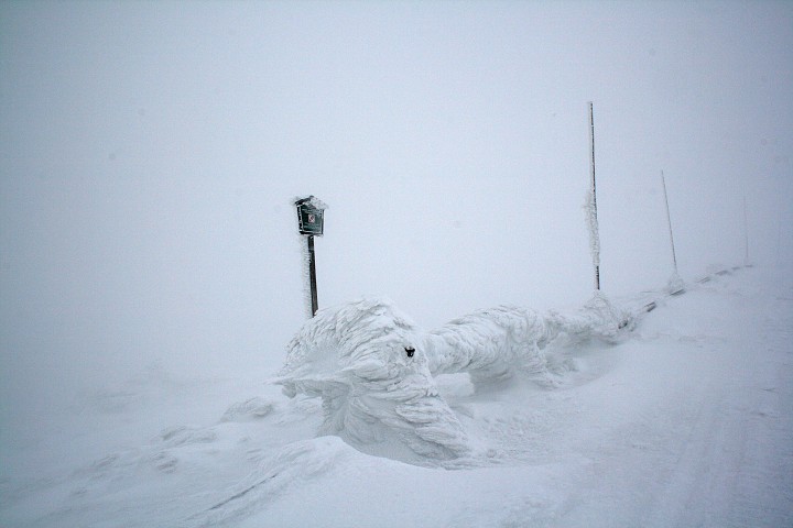 img00012.jpg
