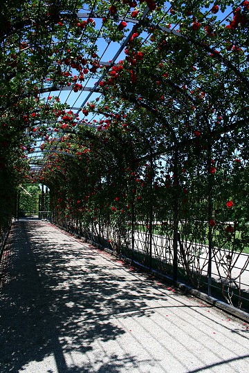 img00027.jpg