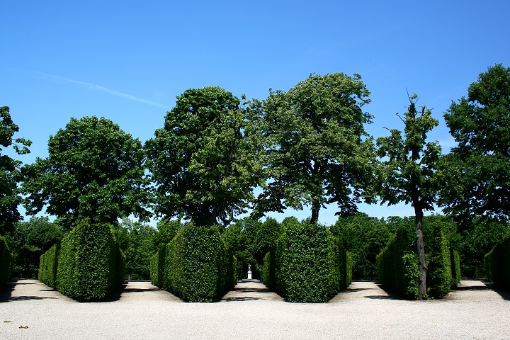 img00029.jpg