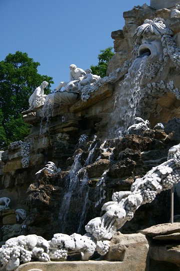 img00037.jpg
