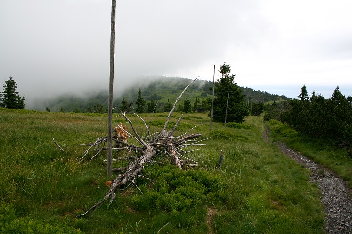 img00003.jpg