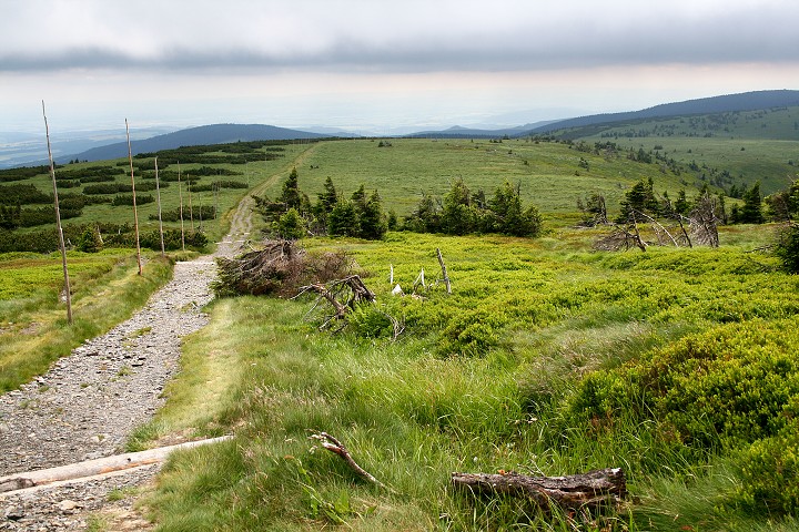 img00005.jpg