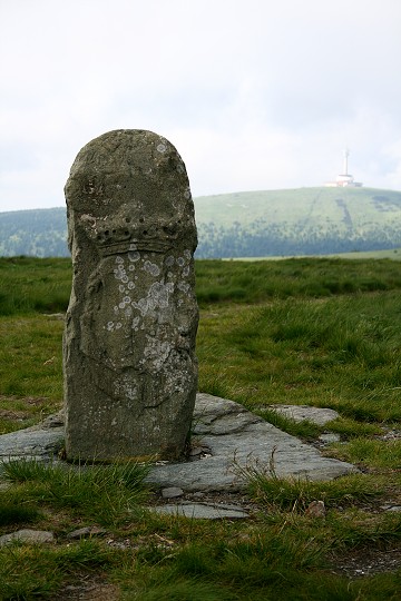 img00006.jpg