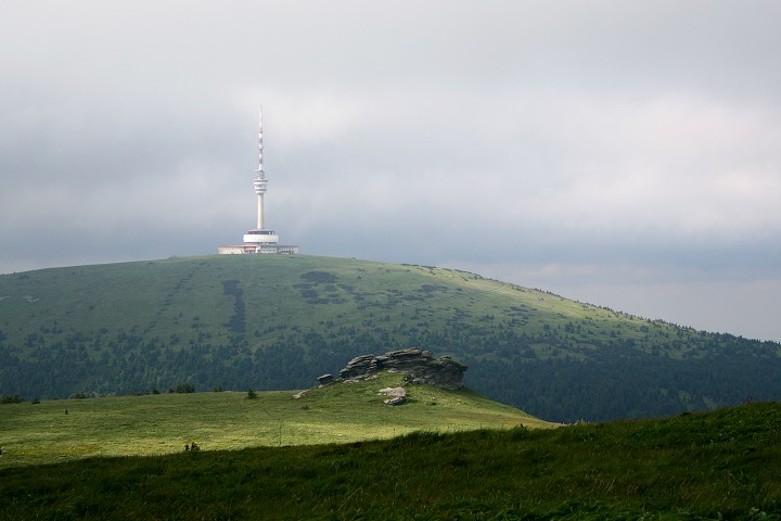 img00007.jpg