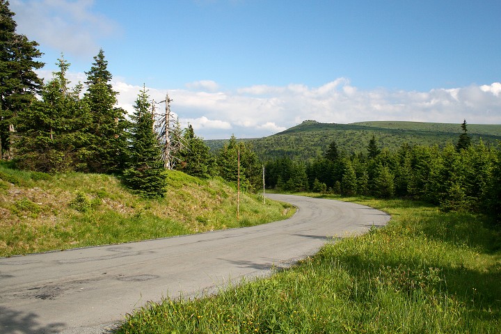 img00008.jpg