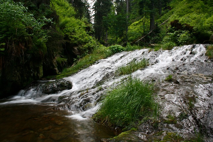 img00012.jpg