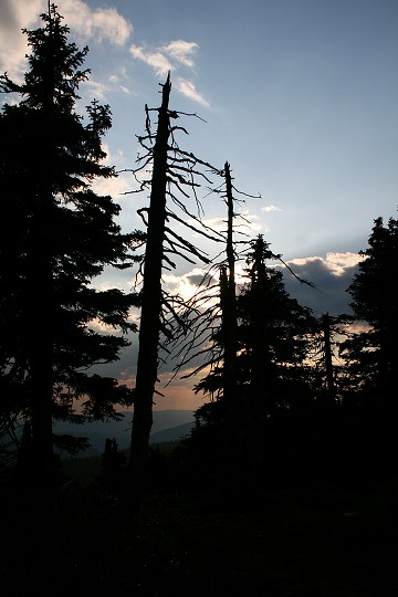 img00013.jpg