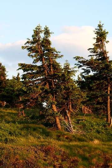 img00015.jpg
