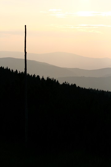 img00016.jpg