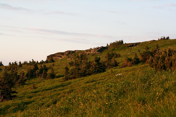 img00017.jpg