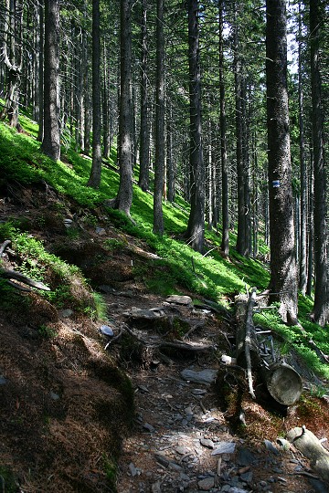 img00021.jpg