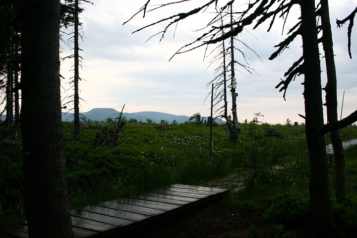 img00024.jpg