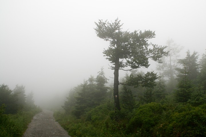 img00025.jpg