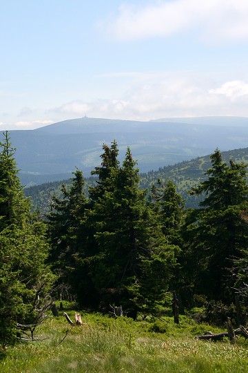 img00027.jpg