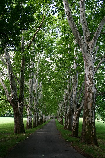 img00006.jpg