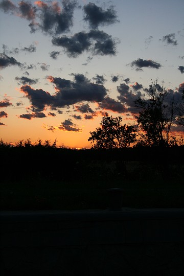 img00008.jpg