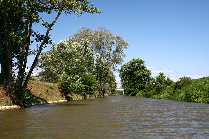 img00017.jpg