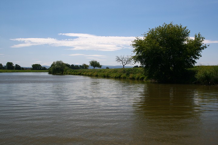 img00028.jpg