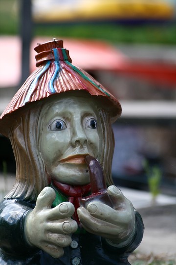 img00036.jpg