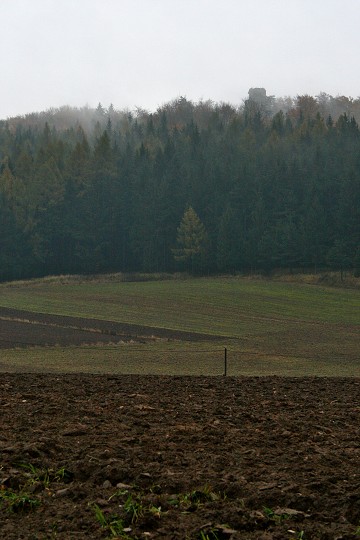 img00002.jpg