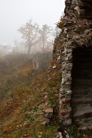 img00003.jpg