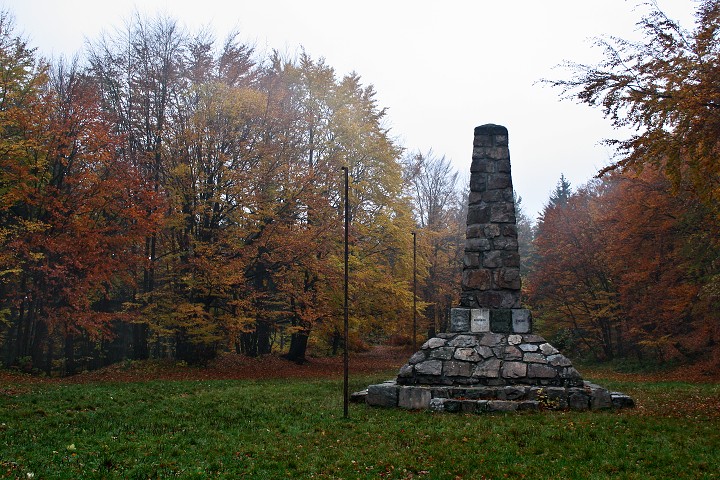 img00005.jpg