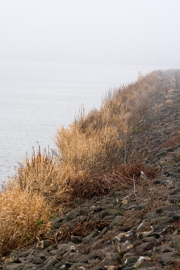 img00002.jpg