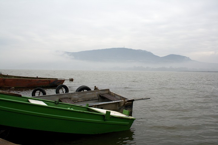 img00005.jpg