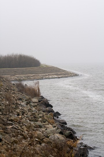 img00007.jpg