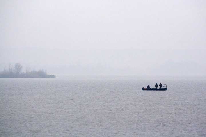 img00008.jpg