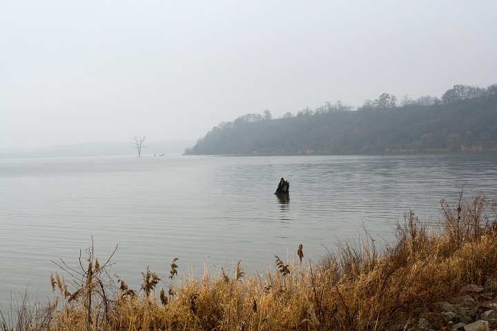 img00011.jpg