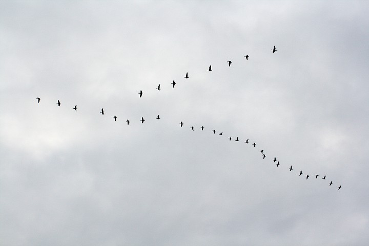img00013.jpg