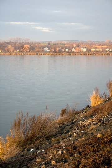 img00017.jpg