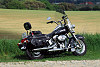 Harley-Davidson