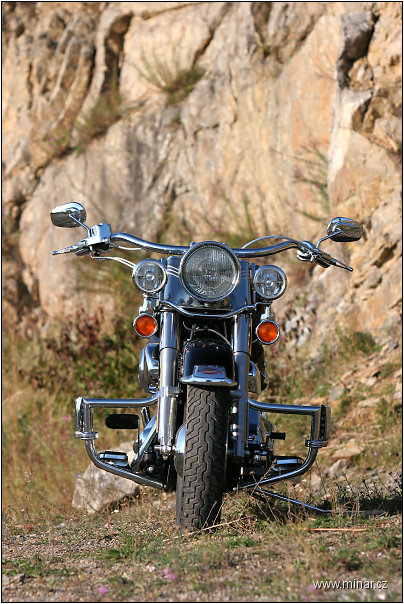 img00003.jpg
