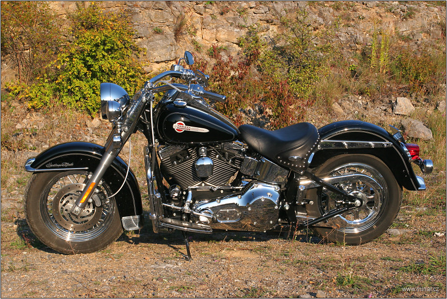 img00015.jpg