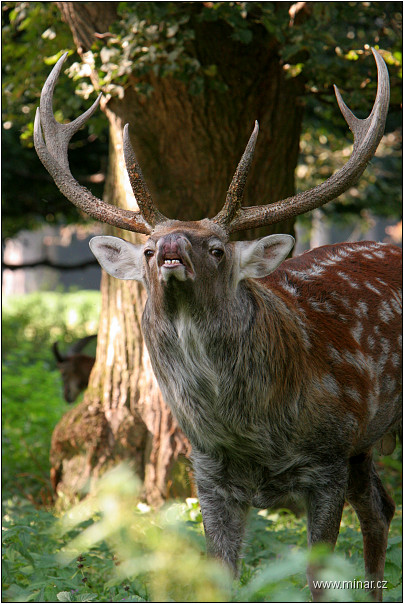 img00002.jpg