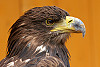 ZOO Jihlava