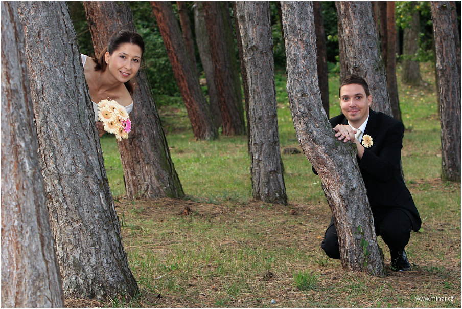 img00033.jpg
