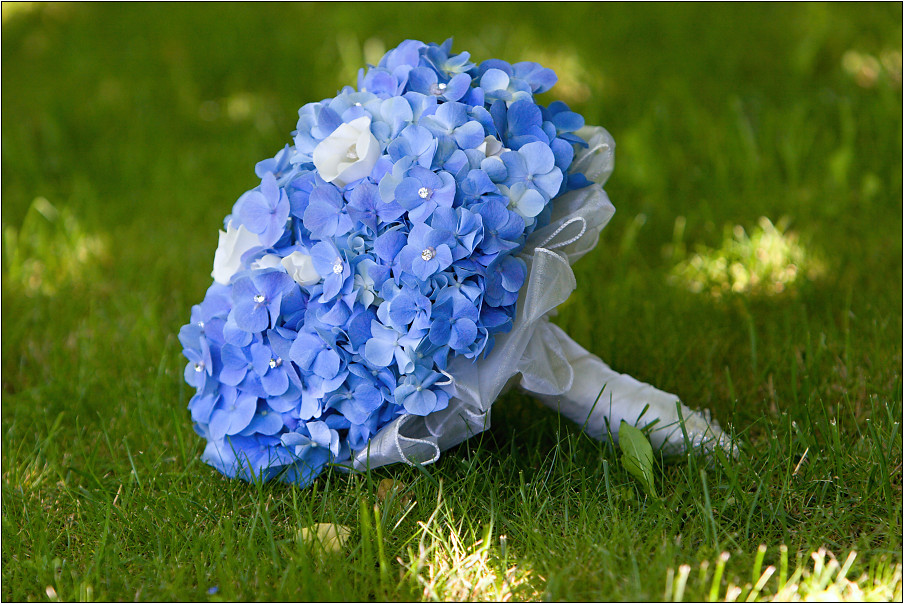img00012.jpg