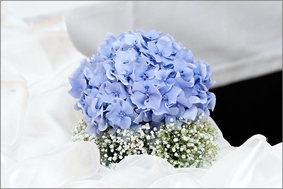img00030.jpg