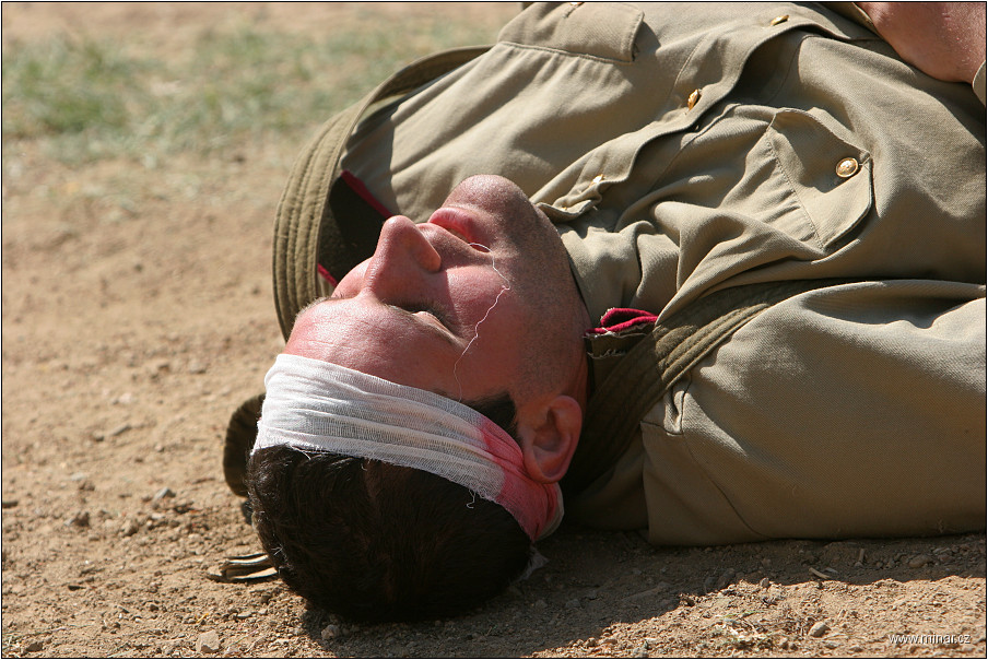 img00037.jpg
