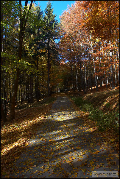 img00017.jpg