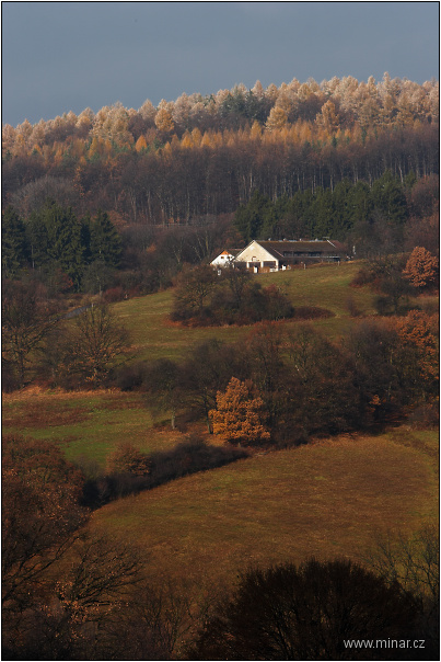 img00020.jpg