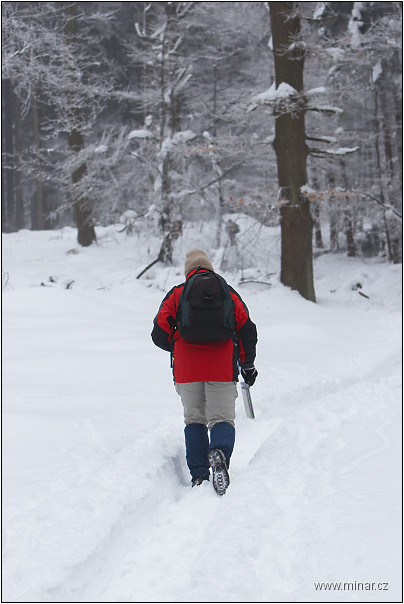 img00014.jpg