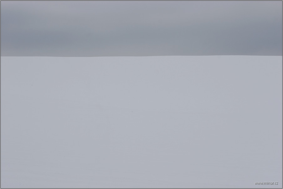img00025.jpg